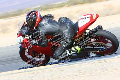 media/Feb-13-2022-SoCal Trackdays (Sun) [[c9210d39ca]]/Turn 15 Inside Speed Shots (11am)/